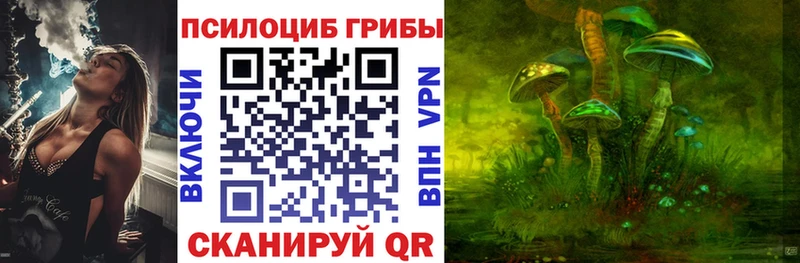 Галлюциногенные грибы мицелий  где продают   Задонск 